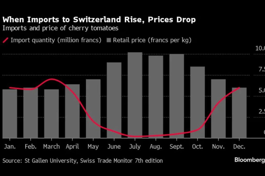 Swiss Farmers Face Bad Harvests: A Silver Lining for Shoppers with Cheaper Tomatoes 2 Swiss Farmers Face Bad Harvests: A Silver Lining for Shoppers with Cheaper Tomatoes Swiss Farmers Face Bad Harvests: A Silver Lining for Shoppers with Cheaper Tomatoes