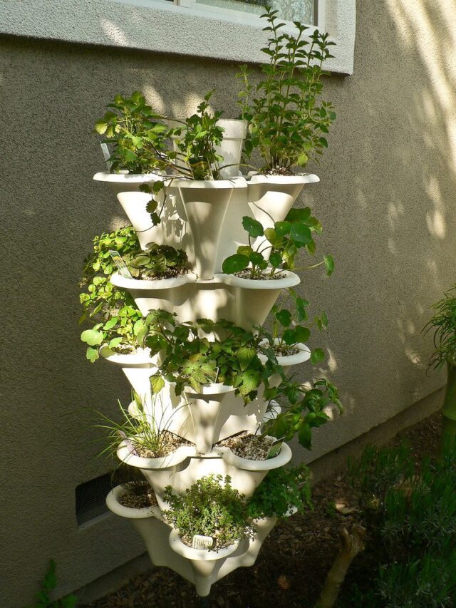 The Best Vertical Hydroponic Tower Gardens (2024)