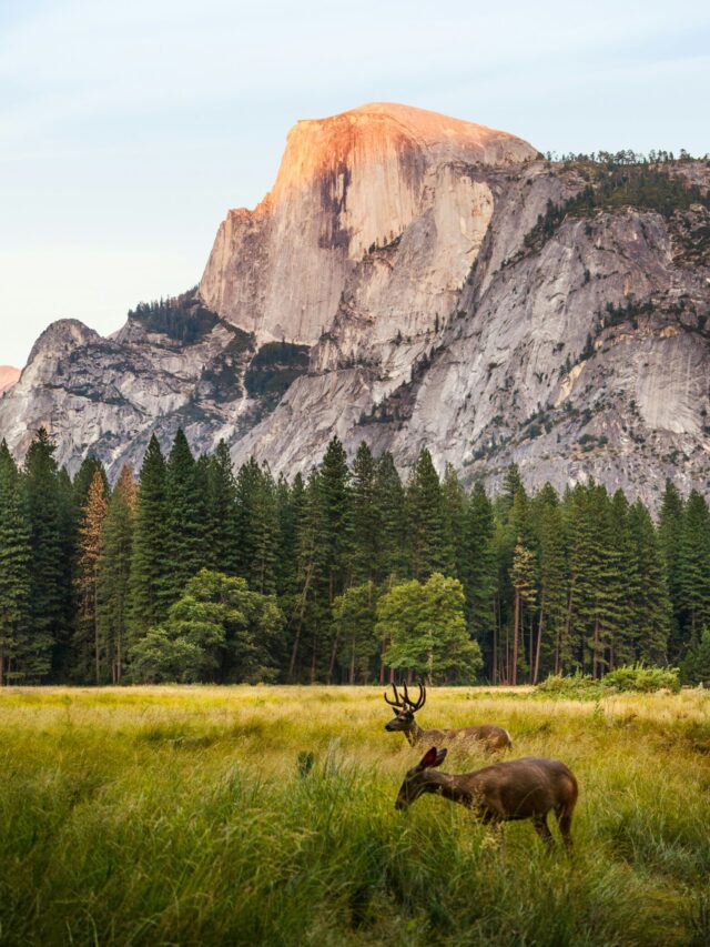 10 Most Beautiful National Parks In America