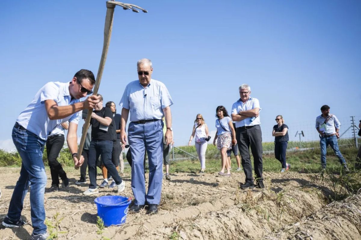 Swiss Farmers Face Bad Harvests: A Silver Lining for Shoppers with Cheaper Tomatoes