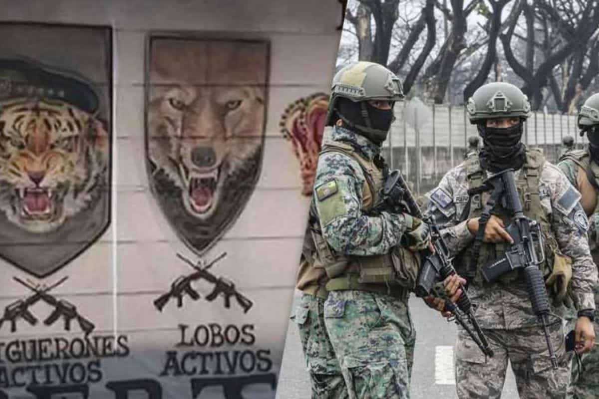 New Terrorist Organization Listings: Los Choneros and Los Lobos